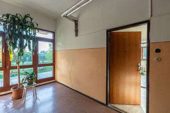 Pronájem bytu 2+kk v družstevním vlastnictví 53 m², Litvínov