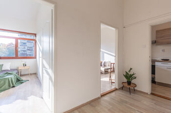 Pronájem bytu 2+kk v družstevním vlastnictví 53 m², Litvínov