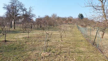 Prodej pozemku 1240 m², Moravské Málkovice