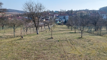 Prodej pozemku 1240 m², Moravské Málkovice