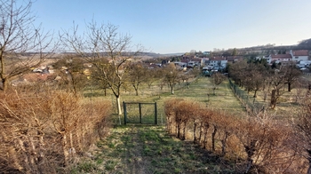 Prodej pozemku 1240 m², Moravské Málkovice