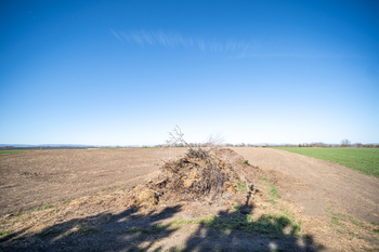 Prodej pozemku 5508 m², Žatec