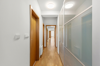 Prodej bytu 2+1 v osobním vlastnictví 64 m², Praha 3 - Žižkov