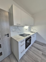 Pronájem bytu 3+kk v osobním vlastnictví 51 m², Milovice