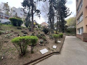 Prodej bytu 1+kk v družstevním vlastnictví 32 m², Praha 5 - Smíchov