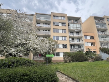 Prodej bytu 1+kk v družstevním vlastnictví 32 m², Praha 5 - Smíchov