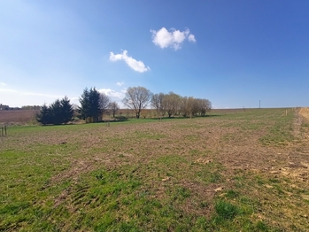 Prodej pozemku 20659 m², Nemyšl