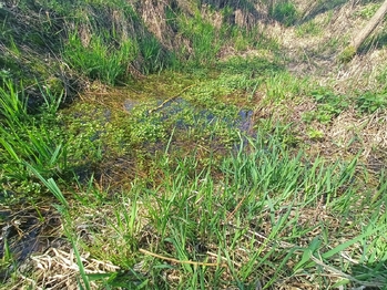 Prodej pozemku 20659 m², Nemyšl