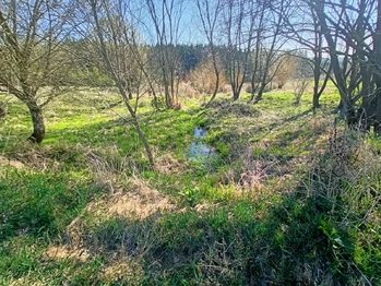 Prodej pozemku 20659 m², Nemyšl