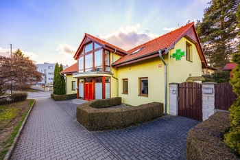 Pronájem jiných prostor 120 m², Brandýs nad Labem-Stará Boleslav