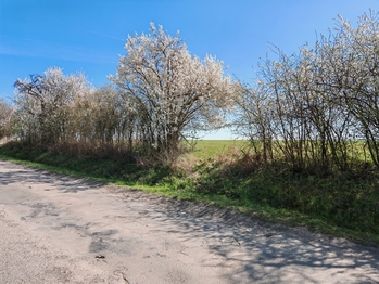 Prodej pozemku 6432 m², Úvaly