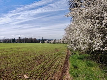 Prodej pozemku 6432 m², Úvaly