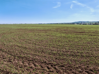 Prodej pozemku 6432 m², Úvaly