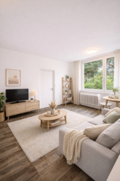 vizualizace - Pronájem bytu 2+kk v osobním vlastnictví 30 m², Brno