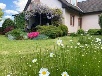 Prodej domu 194 m², Šestajovice