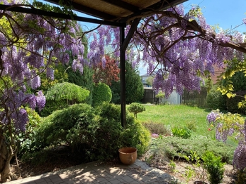 Prodej domu 143 m², Zlatá