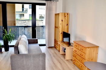 Pronájem bytu 1+kk v družstevním vlastnictví 38 m², Mladá Boleslav