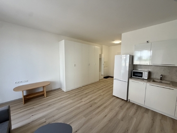 Pronájem bytu 1+kk v družstevním vlastnictví 38 m², Mladá Boleslav