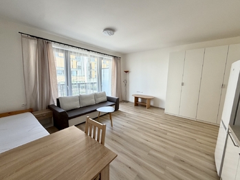 Pronájem bytu 1+kk v družstevním vlastnictví 38 m², Mladá Boleslav