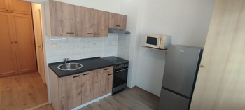 Pronájem bytu 1+1 v osobním vlastnictví 31 m², Luštěnice