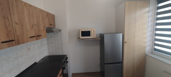 Pronájem bytu 1+1 v osobním vlastnictví 31 m², Luštěnice