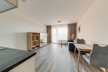 Pronájem bytu 1+kk v osobním vlastnictví 32 m², Praha 9 - Vysočany