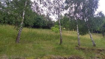 Prodej chaty / chalupy 50 m², Račice