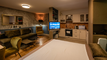 Pronájem bytu 1+kk v osobním vlastnictví 46 m², Praha 7 - Troja