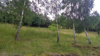 Prodej domu 50 m², Račice