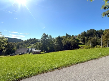 Prodej pozemku 599 m², Jestřabí v Krkonoších