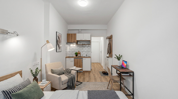 Prodej bytu 1+kk v osobním vlastnictví 23 m², Praha 3 - Žižkov