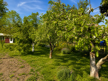 Prodej pozemku 474 m², Liběchov