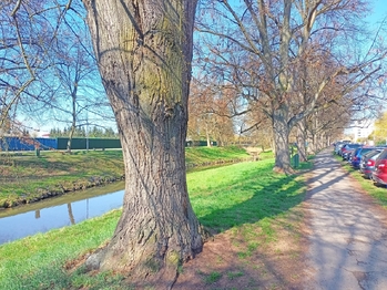 a tudy do cukrárny v Senomatech. - Prodej bytu 3+1 v osobním vlastnictví 64 m², Rakovník