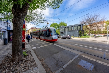 Pronájem obchodních prostor, Praha 7 - Holešovice
