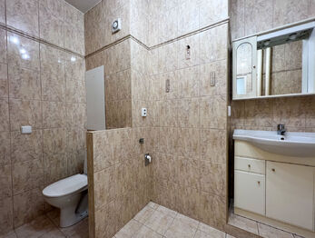 Pronájem bytu 1+1 v osobním vlastnictví 42 m², Brno