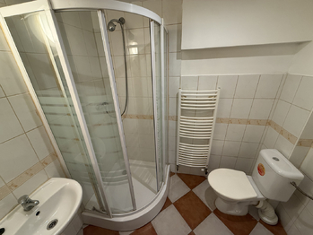 Pronájem komerčního prostoru 85 m², Plzeň