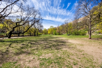 Folimanka - Prodej bytu 3+kk v osobním vlastnictví 77 m², Praha 2 - Nusle