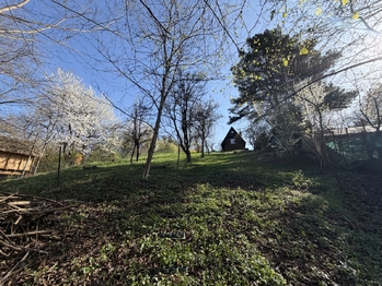 Prodej chaty / chalupy 25 m², Uherský Brod