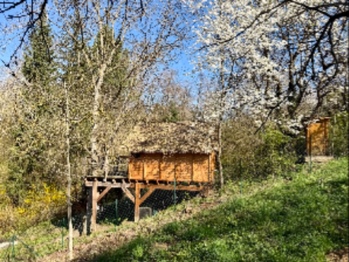 Prodej chaty / chalupy 25 m², Uherský Brod