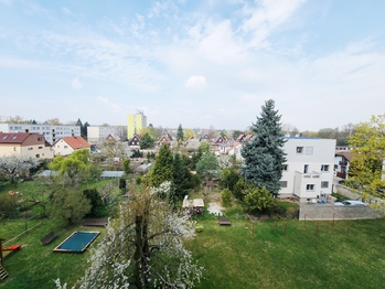 Pronájem bytu 2+1 v družstevním vlastnictví 55 m², Hradec Králové