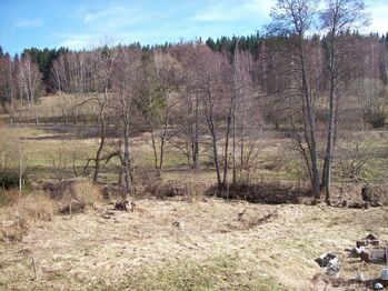 Prodej pozemku 2338 m², Horní Planá