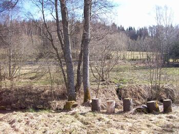 Prodej pozemku 2338 m², Horní Planá