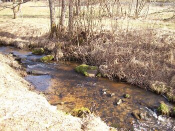 Prodej pozemku 2338 m², Horní Planá