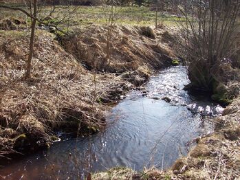 Prodej pozemku 2338 m², Horní Planá