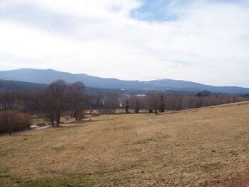 Prodej pozemku 2338 m², Horní Planá