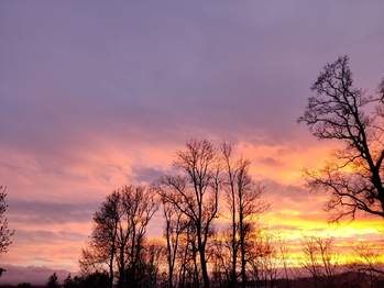 Prodej pozemku 2338 m², Horní Planá