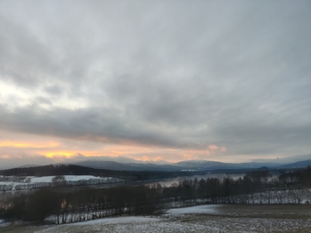 Prodej pozemku 2338 m², Horní Planá