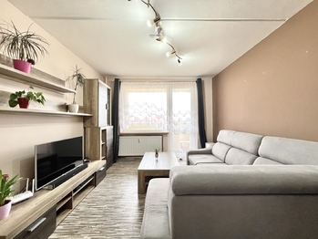 Prodej bytu 3+1 v družstevním vlastnictví 60 m², Chomutov