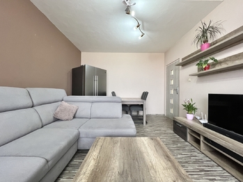 Prodej bytu 3+1 v družstevním vlastnictví 60 m², Chomutov