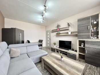 Prodej bytu 3+1 v družstevním vlastnictví 60 m², Chomutov